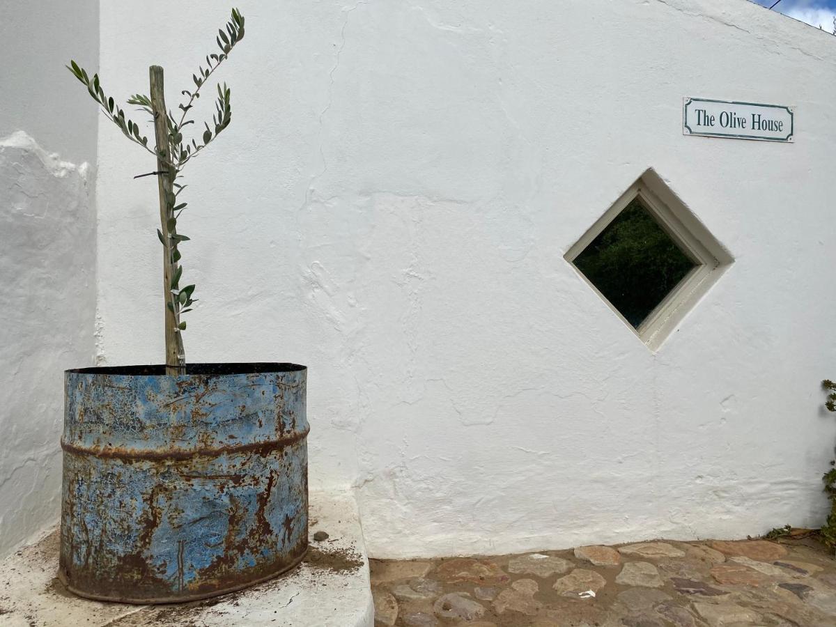 The Olive House, 프린스앨버트 외부 사진