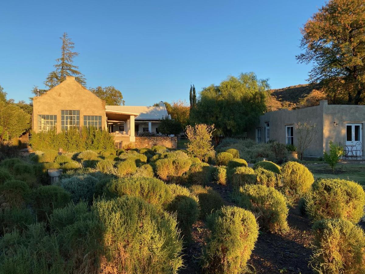 The Olive House, 프린스앨버트 외부 사진